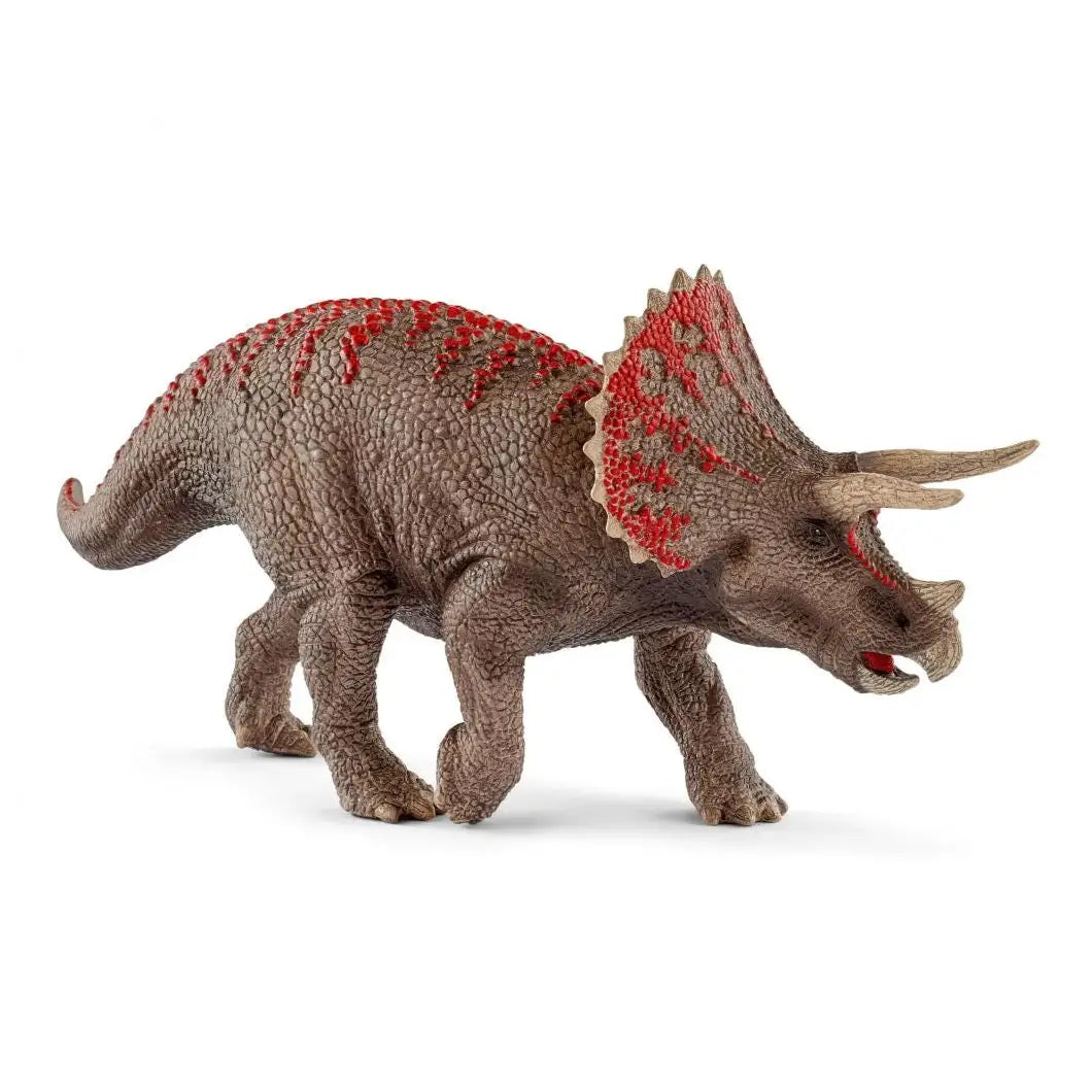 Triceratop Dinosaur