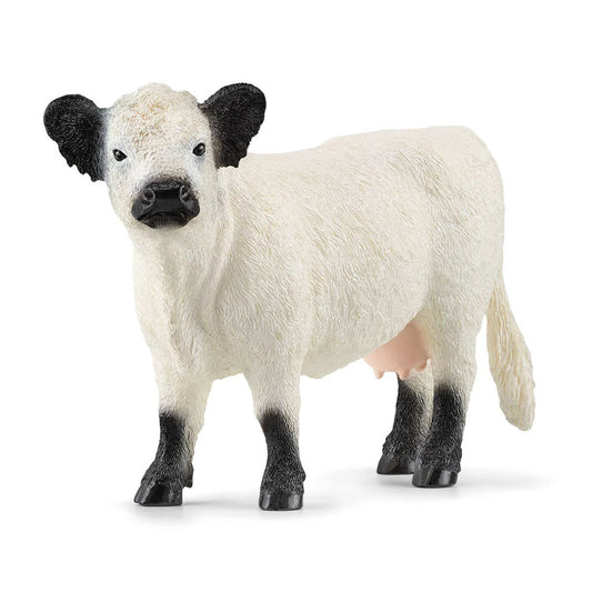 Galloway Cow, Schleich