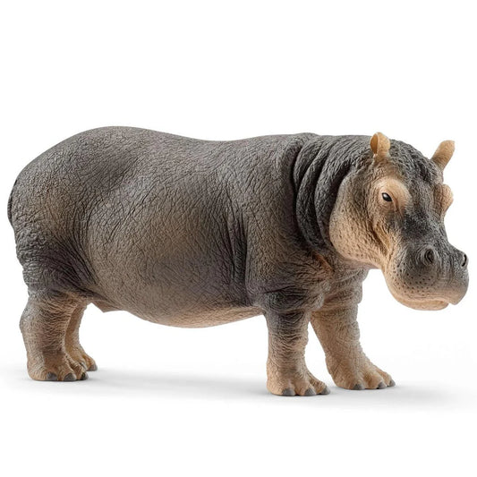 Hippopotamus-Toys-Schleich-Although hippopotamuses cannot swim particularly well, they spend nearly all day in the water.-Kidz Toys
