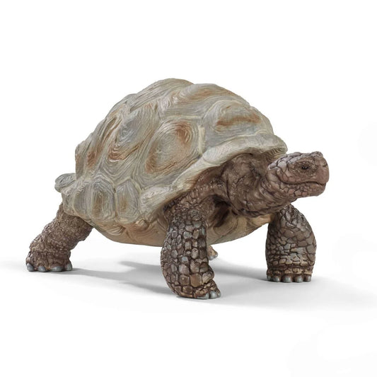 Giant tortoise, Figurine