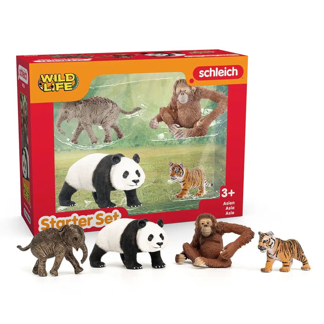 Wild Life Asia Starter Set