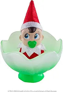 The elf on the shelf frost pips mini blooms- boy blue eyes