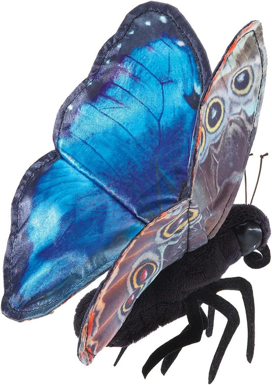 Blue Morpho Butterfly