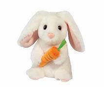 Zen BUNNY w/carrot
