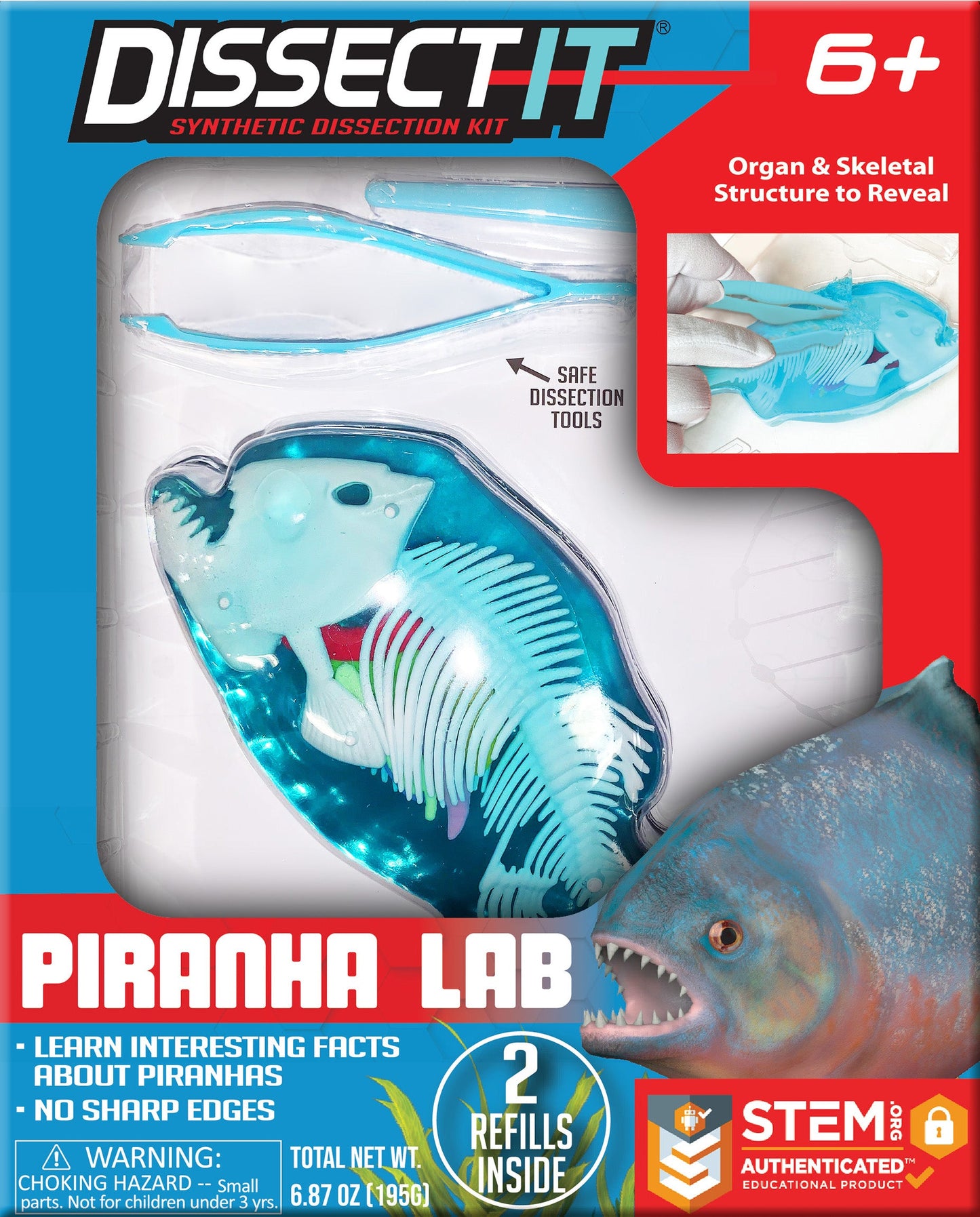 Dissect-It mini piranha lab-Toys-Top Secret Toys-Realistic and safe experience – Made out of gelatin-like material that is absolutely safe for children, our Dissect-It Piranha gives the realistic experience of a dissection without the use of a real piranha! Recommended for ages 6 and above.Includes – Dissect-It Piranha, instructions, a dissection table, and plastic tools needed for dissecting the piranha. In addition, you will receive 2 refill gel kits for more dissecting fun and better understanding each a