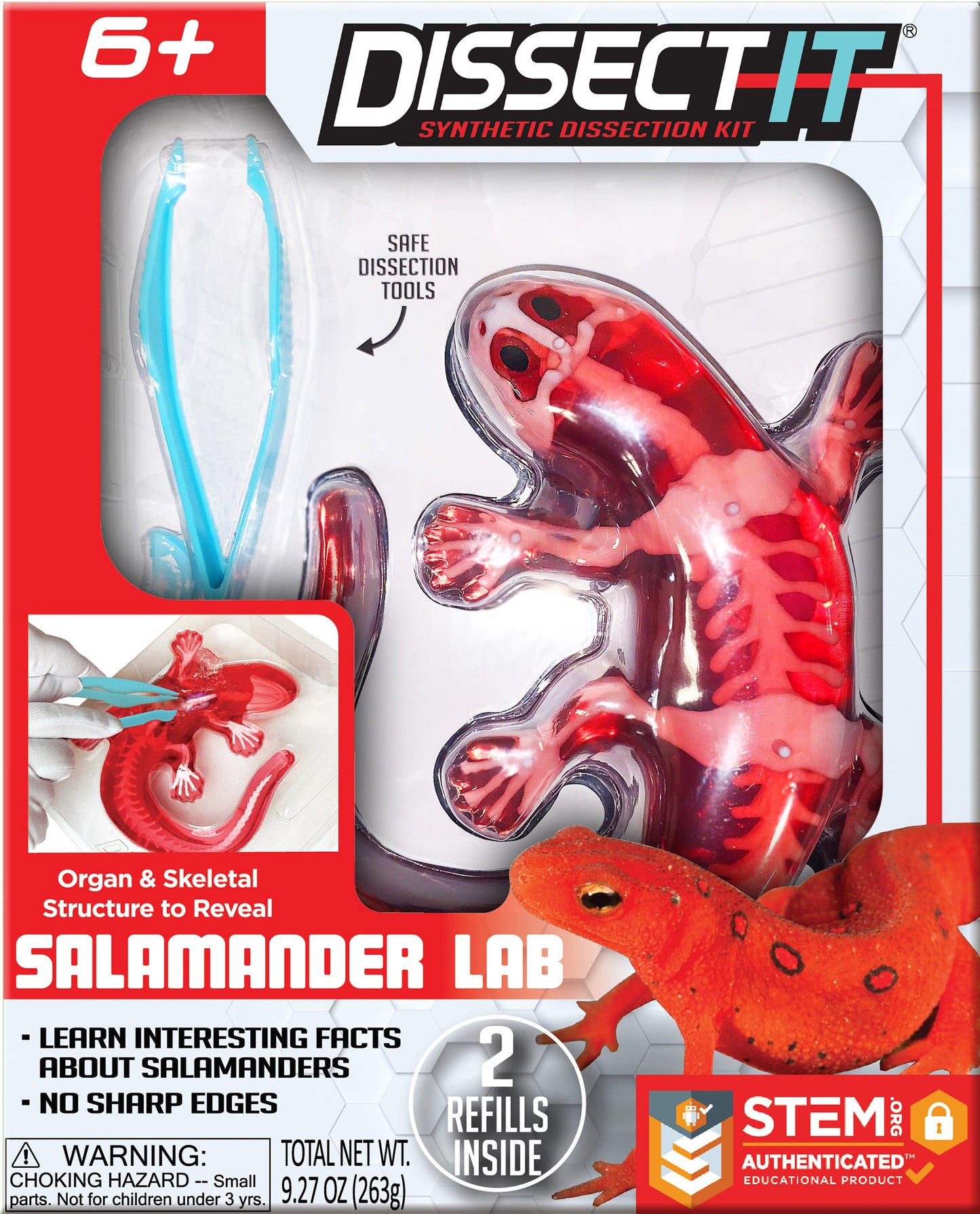 Dissect It- Salamander lab-Toys-Top Secret Toys-Realistic and safe experience – Made out of gelatin-like material that is absolutely safe for children, our Dissect-It Salamader gives the realistic experience of a dissection without the use of a real salamader! Recommended for ages 6 and above.Includes – Dissect-It Salamader, instructions, a dissection table, and plastic tools needed for dissecting the salamader. In addition, you will receive 2 refill gel kits for more dissecting fun and better understanding