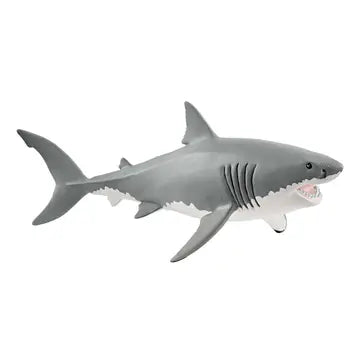 Great White Shark Scheilich