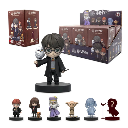 Wizarding World Harry Potter Hero Box - Blind Box Cdu