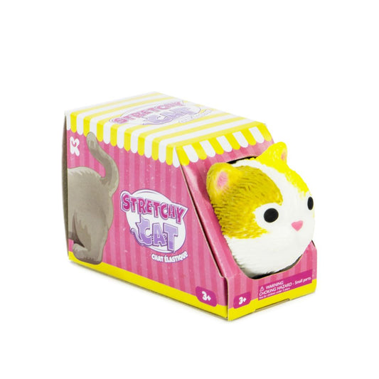 Packaging of 'Stretchy Kittens' showing a stretchable toy cat in a box with a striped design and the name 'Stretchy Cat' on it.