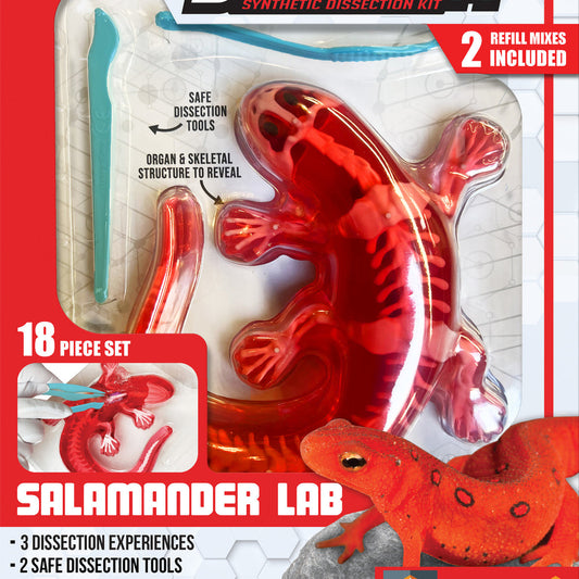 Dissect-It mini salamander lab, Salamander Lab, Educational Toy
