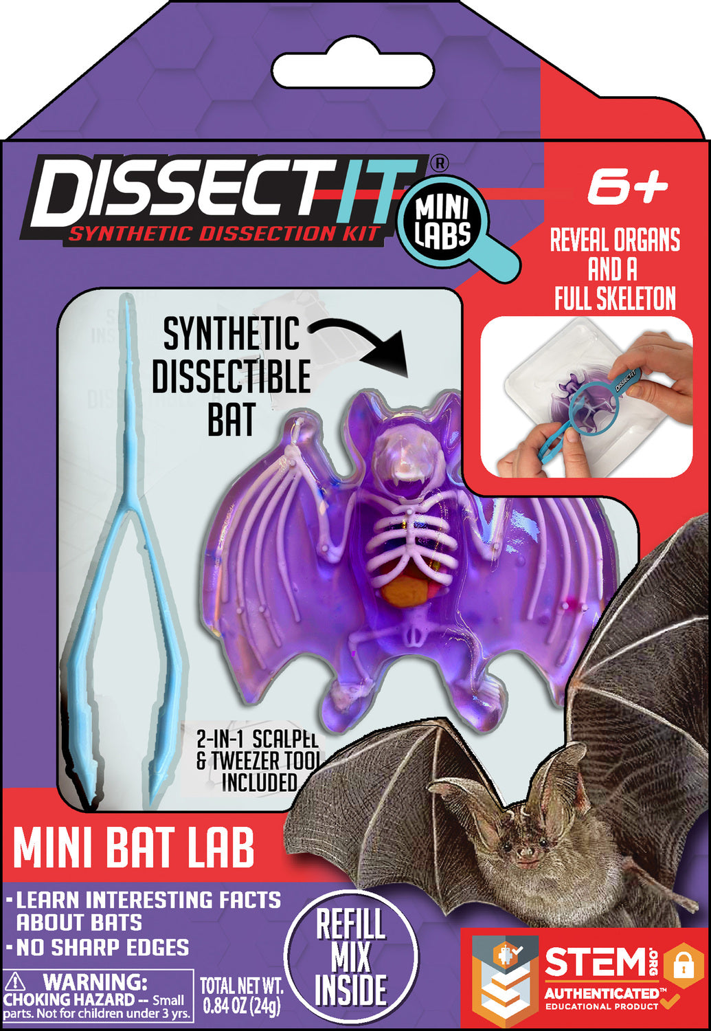 Dissect-It mini bat lab-Toys-Top Secret Toys-Realistic and Safe Experience – Made out of gelatin-like material that is absolutely safe for children, our Dissect-It Bat gives the realistic experience of a dissection without the use of a real bat! Recommended for ages 6 and above.Includes – Dissect-It Bat, instructions, a dissection table, and plastic tools needed for dissecting the bat. In addition, you will receive 2 refill gel kits for more dissecting fun and better understanding each and every time you pl