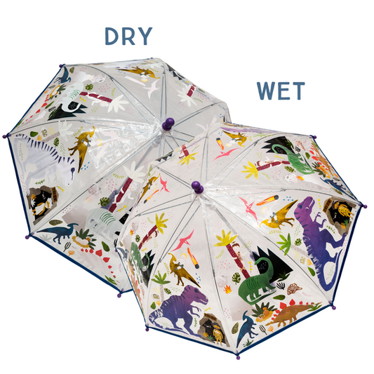Dino Transparent Colour Changing Umbrella, Dinosaur, Dinosaur Umbrella