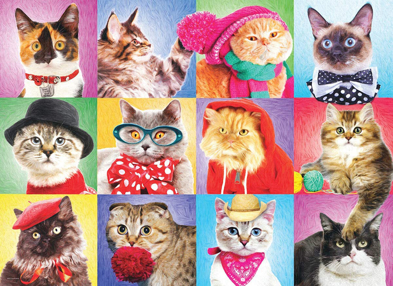 A 300-piece jigsaw puzzle featuring various playful cat poses in different colors on a puzzle board.
