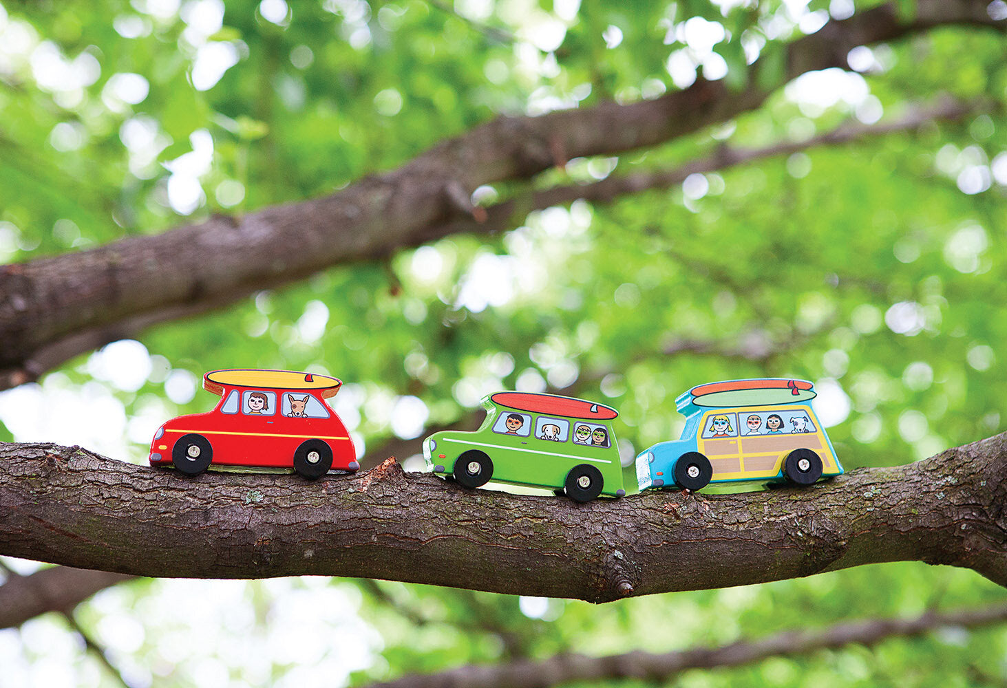 Three small toy wood cars in red, green, and blue colors placed on a branch with green leaves in the background.