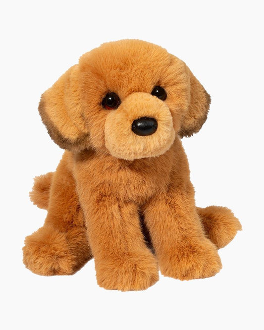 August Golden Retriever