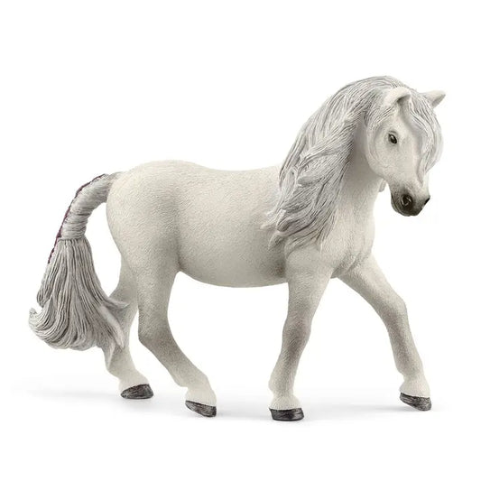 Island Pony Mare Horse