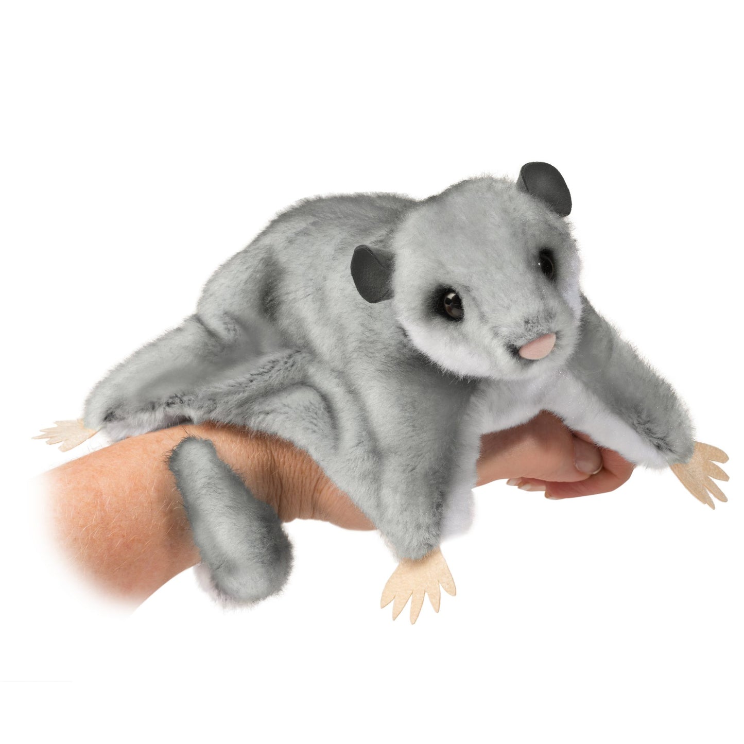 Squeak Sugar Gliders