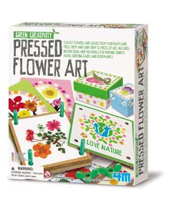 PRESSED FLOWER ART