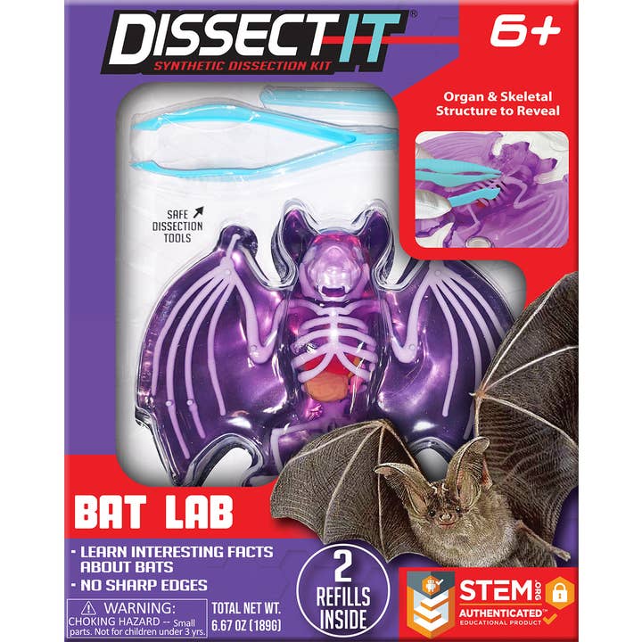 Dissect it-Bat Lab