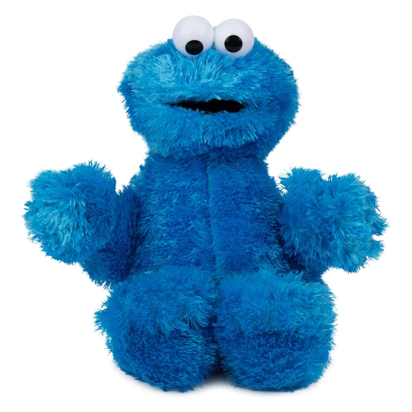 COOKIE MONSTER, 12 IN-Spin Master-Kidz Toys