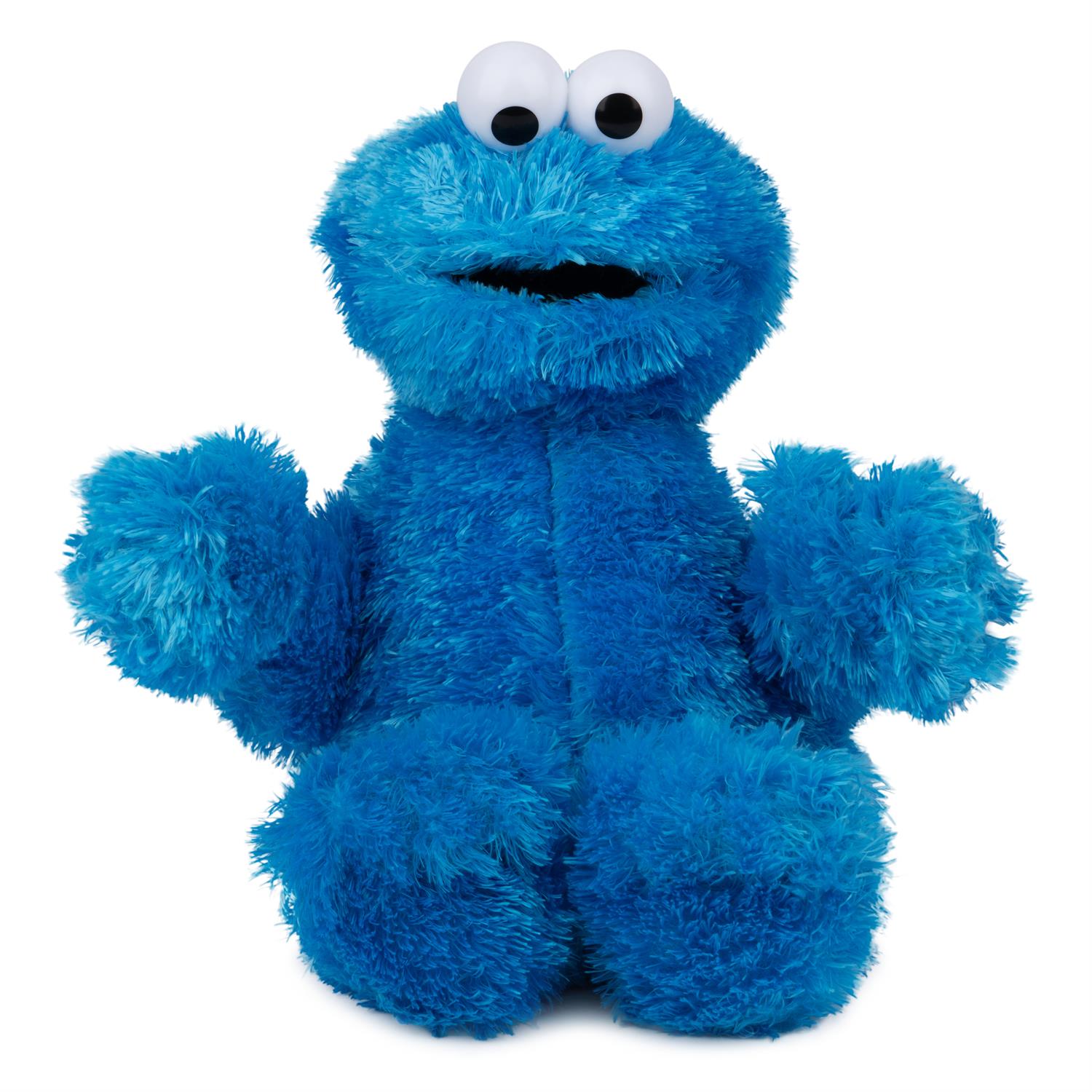 COOKIE MONSTER, 12 IN-Spin Master-Kidz Toys