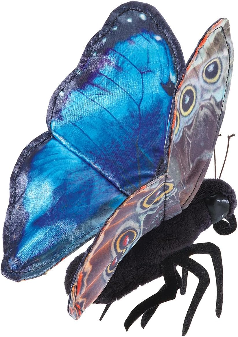 Blue Morpho Butterfly