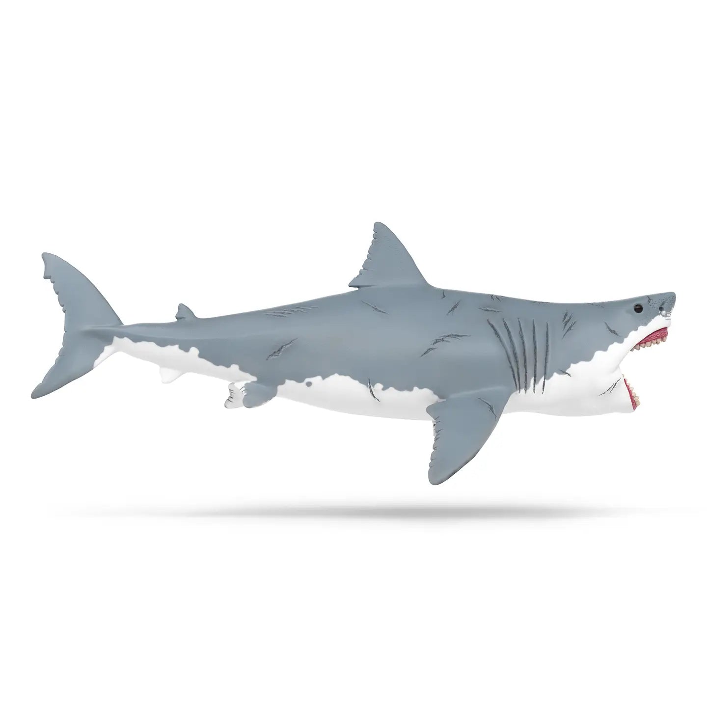 Megalodon