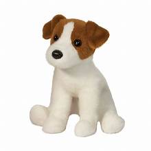 fiona Jack Russell Terrier