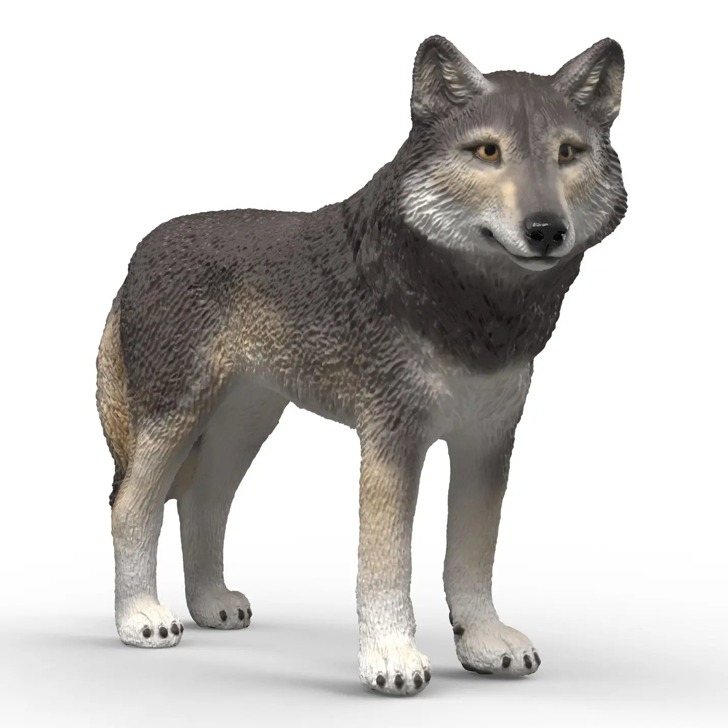 American Wolf