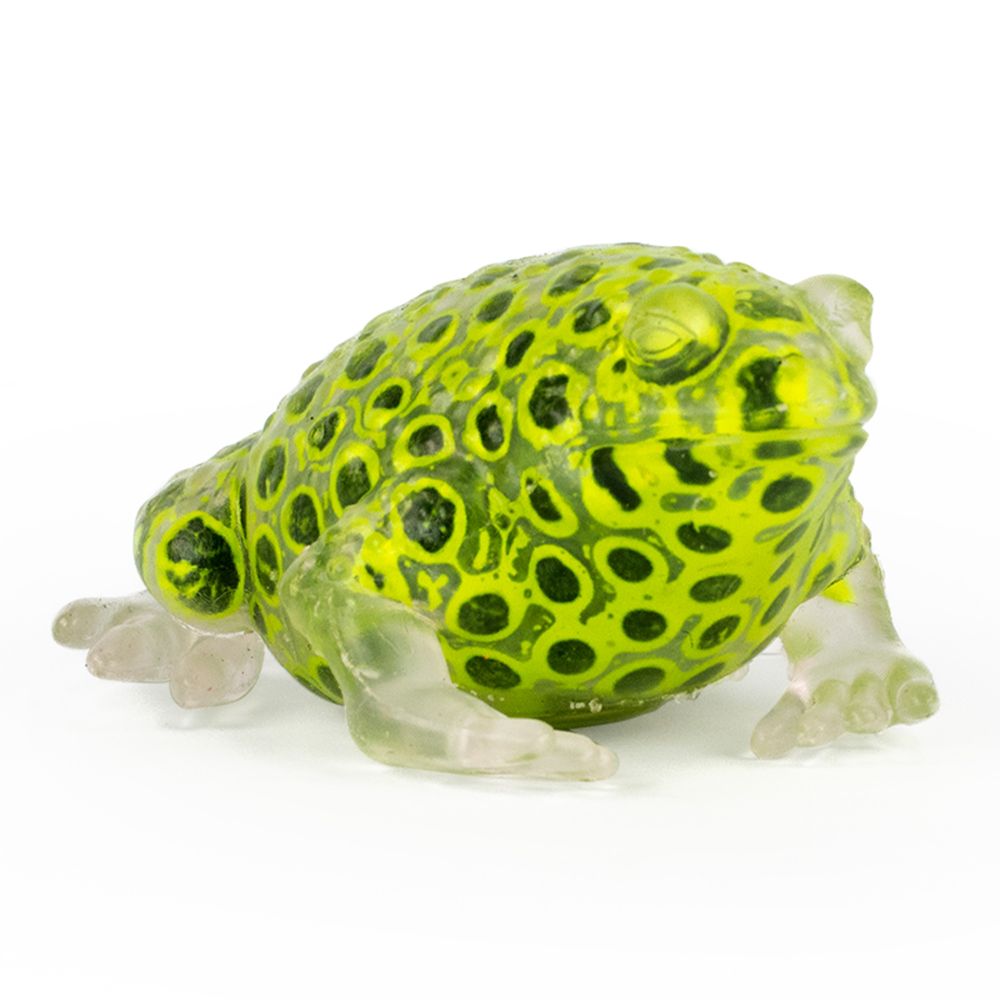 Beadz Alive Frog