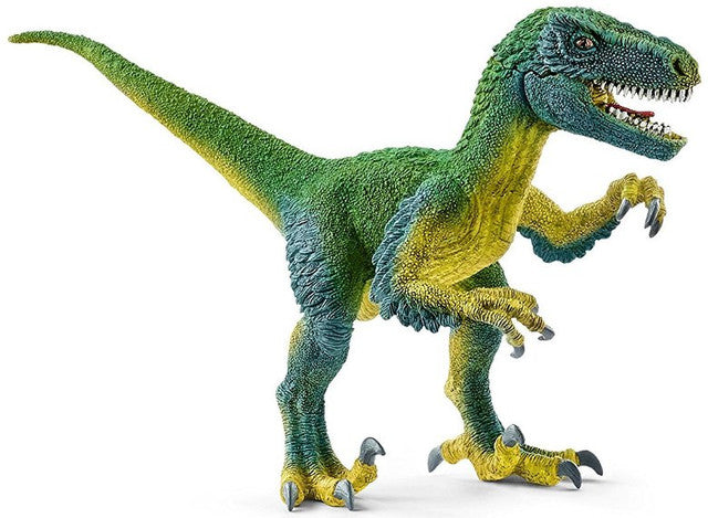 Velociraptor