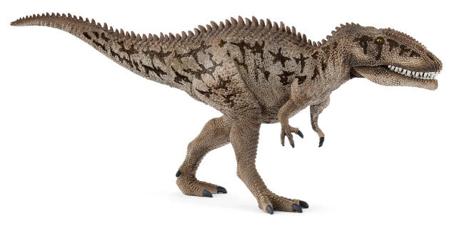 Carcharodontosaurus