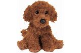 Ginger Mini Poodle
