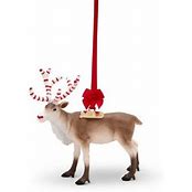 Twinkle the Reindeer