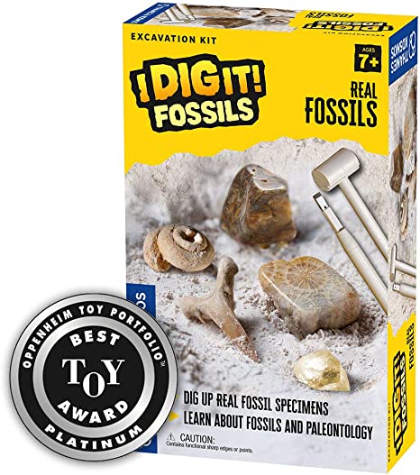 I Dig It! Fossils - Real Fossils Excavation Kit | Science Experiment Kit